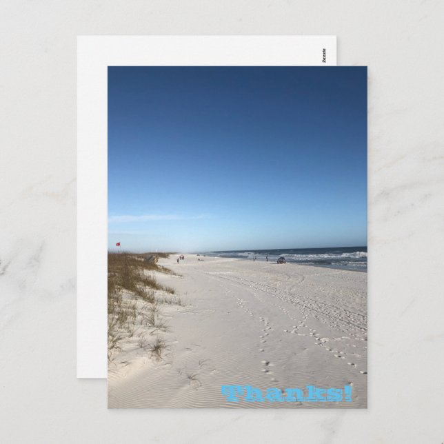 Thanks Holiday Postcard (Front/Back)