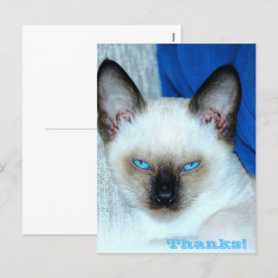 Thanks Holiday Postcard