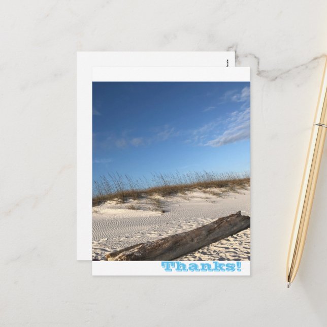 Thanks Holiday Postcard (Front/Back In Situ)