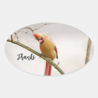 Thanks  oval sticker