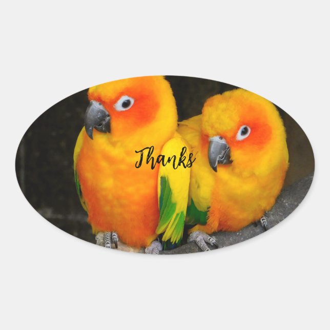 Thanks  oval sticker (Front)