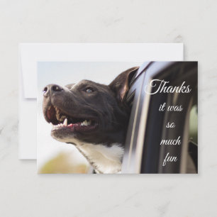 Thanks so Much Fun Cute Dog Out the Window Thank You Card