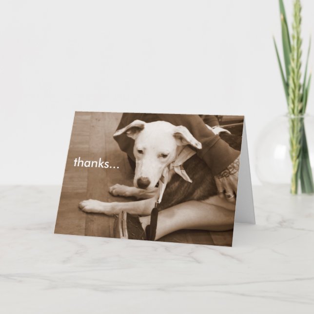 thanks... thank you card (Front)