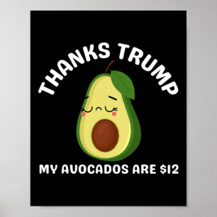 Thanks Trump My Avocados Is $12 Anti Trump Terrifi Poster