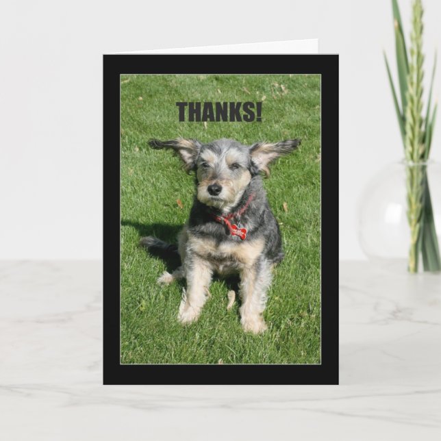 Thanks! Your Kindness Nearly Blew Me Away! Thank You Card (Front)