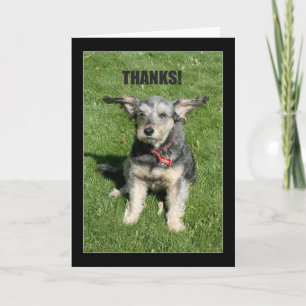 Thanks! Your Kindness Nearly Blew Me Away! Thank You Card