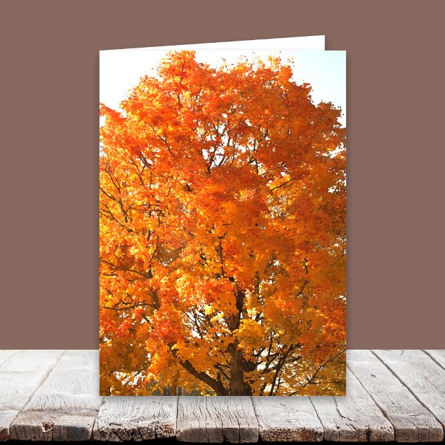 Thanksgiving Across the Miles Cards (Creator Uploaded)