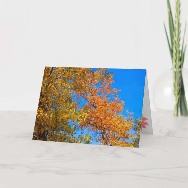 Thanksgiving and Fall Card 2 (Front)