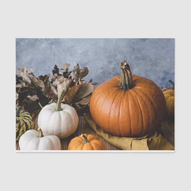 Thanksgiving Autumn Fall Harvest Halloween Pumpkin Tissue Paper (Front)