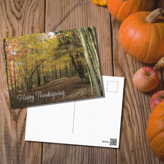 Thanksgiving Autumn Foliage Photo   Holiday Postcard (Creator Uploaded)