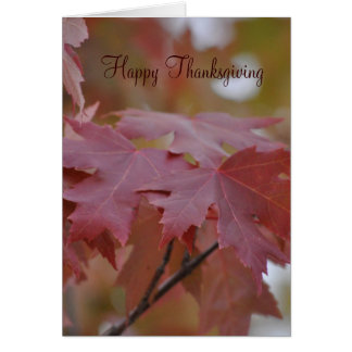 Thanksgiving ~ Autumn Leaves