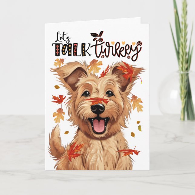 Thanksgiving Berger Picard Dog Lets Talk Turkey Holiday Card (Front)