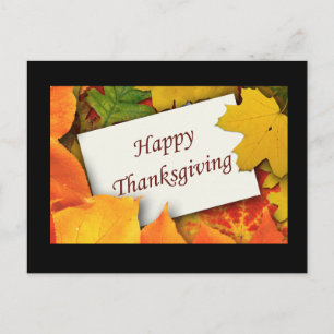 Thanksgiving Blessings Postcards