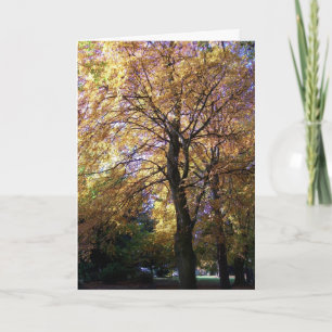Thanksgiving Card - Autumn Foliage