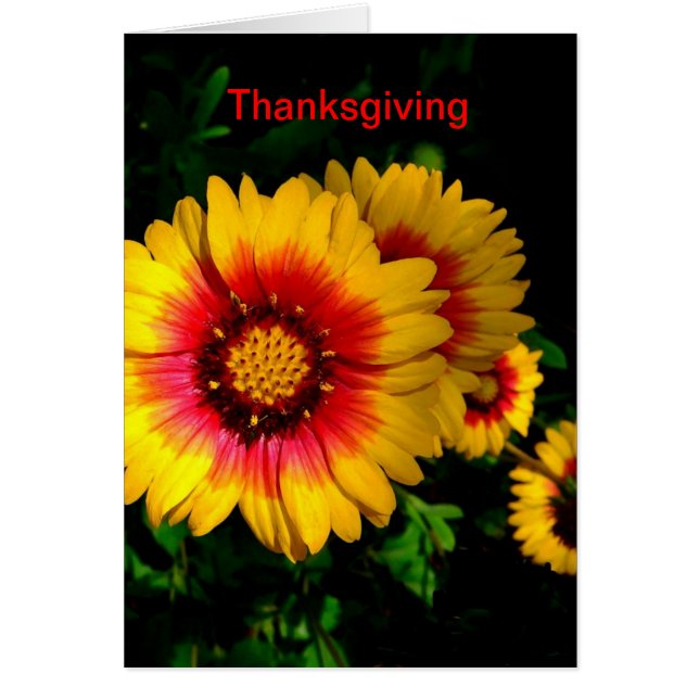 Thanksgiving Card, Cheerful Bright Yellow Flowers (Front)