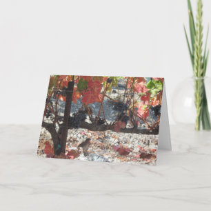 Thanksgiving Card: Hummingbird in Vineyard Holiday Card