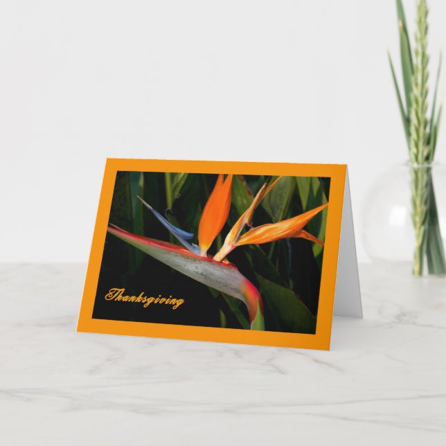 Thanksgiving Card with Bird of Paradise (Front)