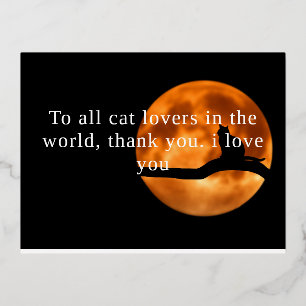 Thanksgiving Cards Cat Lovers in The World