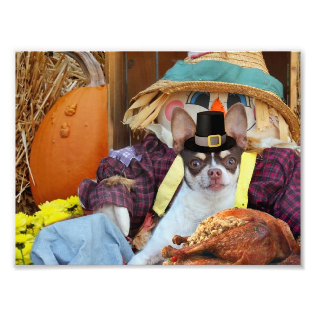 Thanksgiving Chihuahua dog Photo Print (Front)