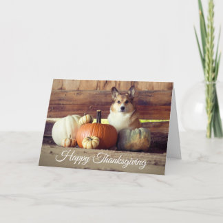 Thanksgiving Corgi Card