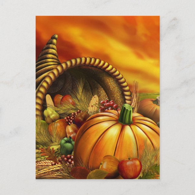 Thanksgiving cornucopia pumpkin field postcard (Front)
