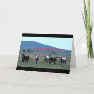 Thanksgiving cows holiday card