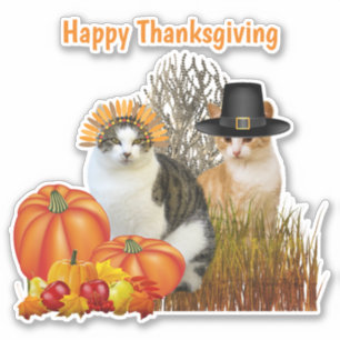 Thanksgiving Cute Pilgrim Cats Vinyl Cutout