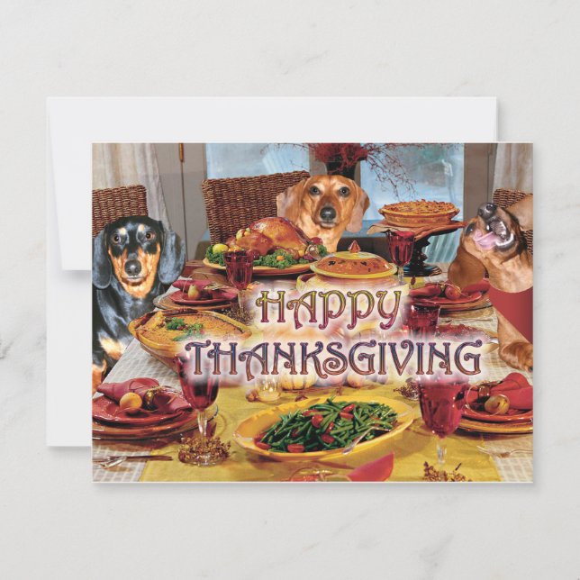 Thanksgiving Dachshunds Holiday Card (Front)