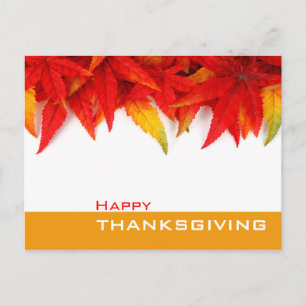 Thanksgiving Day Postcard