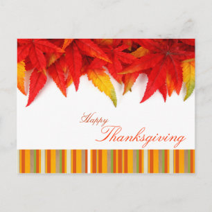 Thanksgiving Day Postcard