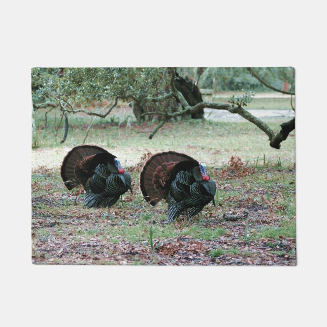 Thanksgiving Day Wild Turkeys in an Open Field Doormat (Front)