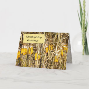 Thanksgiving Dried Corn Stalk Decorations Holiday Card