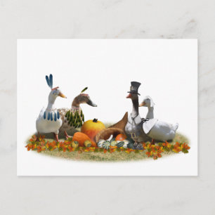 Thanksgiving Ducks - Pilgrims & Indians Holiday Postcard
