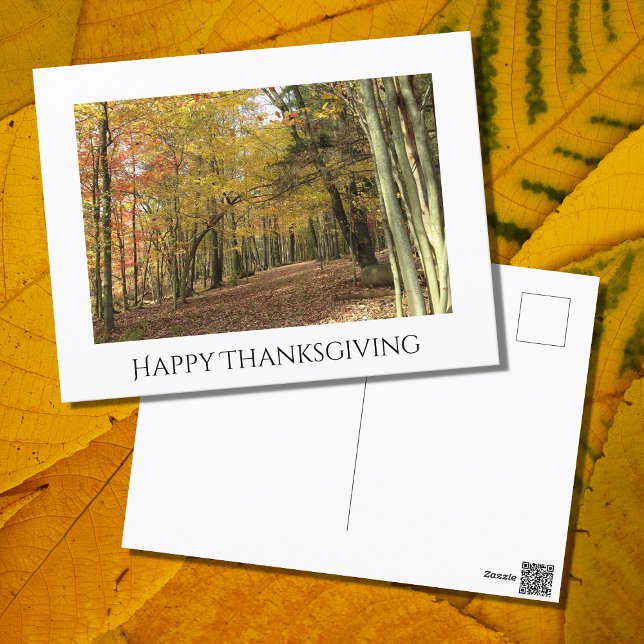 Thanksgiving Fall Foliage Photo Holiday  Postcard (Creator Uploaded)