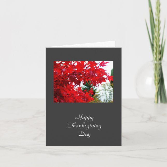 Thanksgiving fall red maple leaves holiday card (Front)