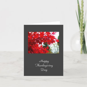 Thanksgiving fall red maple leaves holiday card