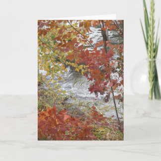 Thanksgiving greeting card