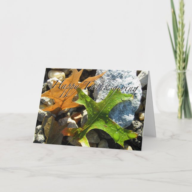 Thanksgiving Greeting Card (Front)