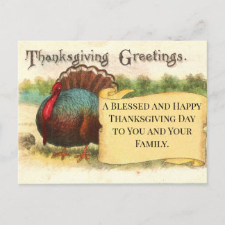 Thanksgiving Greetings Turkey Holiday Postcard