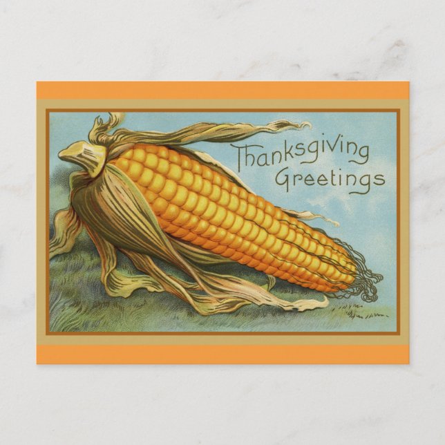 Thanksgiving Greetings Vintage Fall Harvest Postcard (Front)