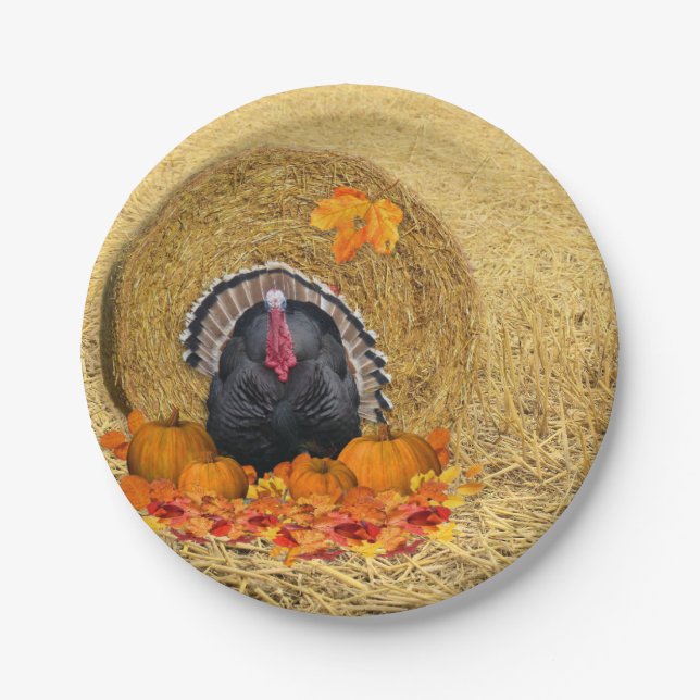 Thanksgiving Harvest Paper Plate (Front)