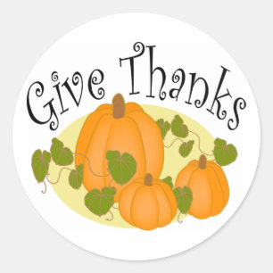 Thanksgiving Harvest Pumpkins Classic Round Sticker