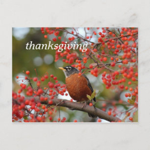 thanksgiving holiday postcard
