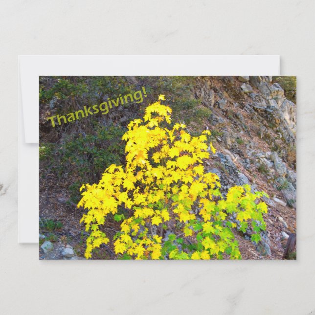 Thanksgiving Invitation Card (Front)
