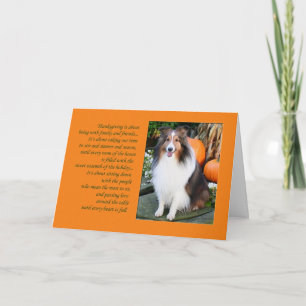 Thanksgiving is...Sheltie Card