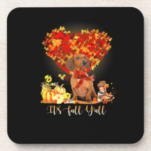 Thanksgiving It's Fall Y'all Dachshund Coaster