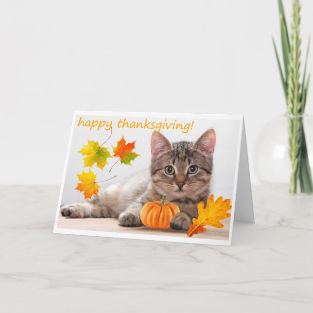 Thanksgiving kitten holiday card (Front)