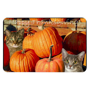 Thanksgiving kitties and pumpkins magnet