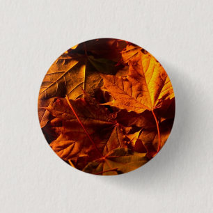 Thanksgiving Leaves 3 Cm Round Badge