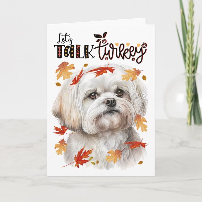 Thanksgiving Maltese Dog Lets Talk Turkey Holiday Card (Front)